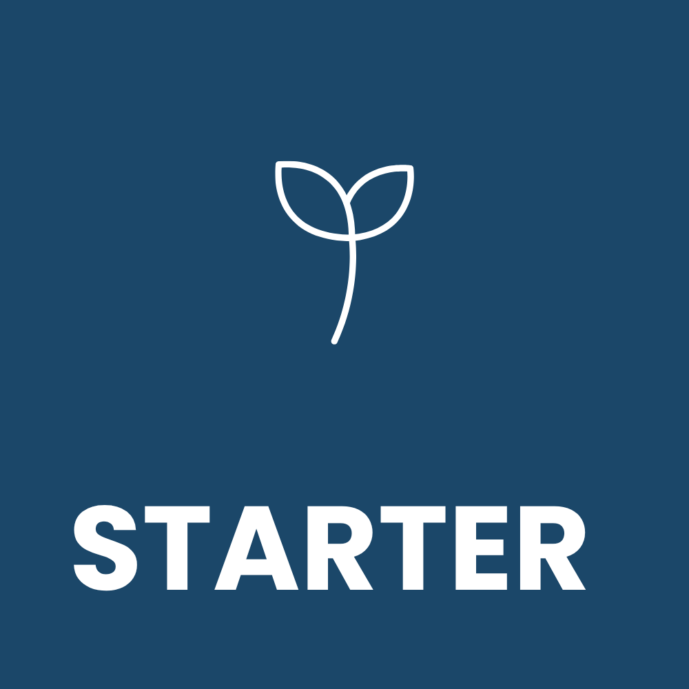 starter-hosting starter hosting paket